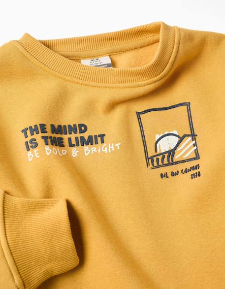 Sweat en coton peigné avec imprimé en relief Bleu foncé+Jaune+Vert clair 6 - vertbaudet enfant 