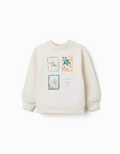 Sweat en coton peigné avec motif art et nature  - vertbaudet enfant