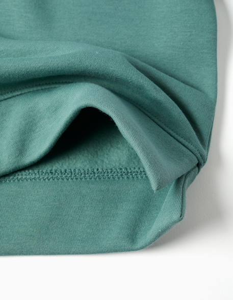 Sweat en coton peigné avec motif art et nature Blanc+Bleu foncé+Marron+Vert clair 16 - vertbaudet enfant 