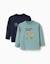 Lot de 2 t-shirts à manches longues avec imprimés Vert clair 1 - vertbaudet enfant 