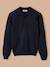 Pull col polo garçon Marine+Vert 1 - vertbaudet enfant 