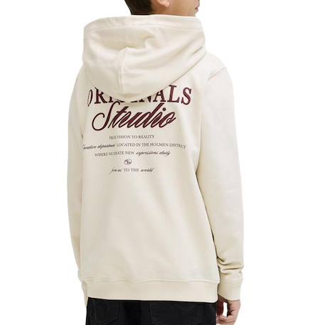 Sweat à capuche garçon norrebro typo Écru+Vert 3 - vertbaudet enfant 