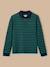 Polo rayé maille piquée garçon Rayure verte 1 - vertbaudet enfant 