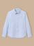 Chemise oxford rayée garçon Rayure bleue 1 - vertbaudet enfant 