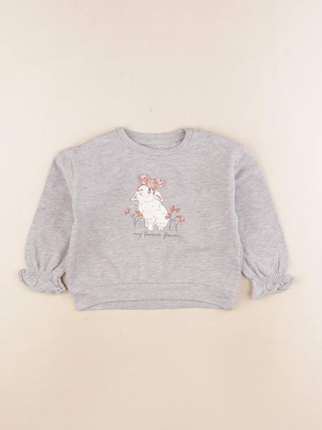 Sweat - 4 ans Gris 1 - vertbaudet enfant 
