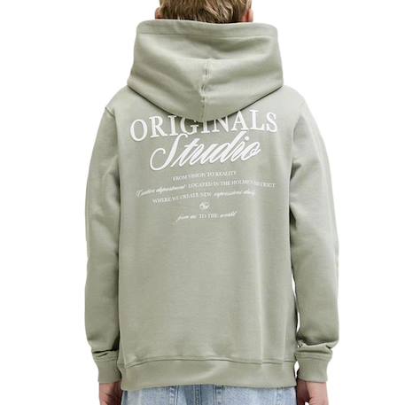 Sweat à capuche garçon norrebro typo Écru+Vert 6 - vertbaudet enfant 