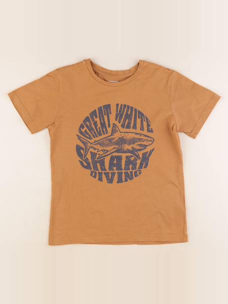 Tee-shirt - 10 ans Marron 1 - vertbaudet enfant 