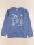 Sweat - 12 ans Bleu 1 - vertbaudet enfant 