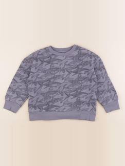 Seconde main-Garçon-Pull, gilet, sweat-Sweat - 6 ans