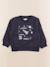 Sweat - 3 ans Bleu 1 - vertbaudet enfant 