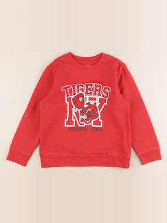 Seconde main-Garçon-Pull, gilet, sweat-Sweat - 6 ans