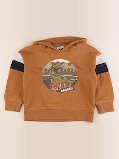 Seconde main-Garçon-Pull, gilet, sweat-Sweat - 6 ans