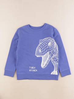 Seconde main-Garçon-Pull, gilet, sweat-Sweat - 6 ans
