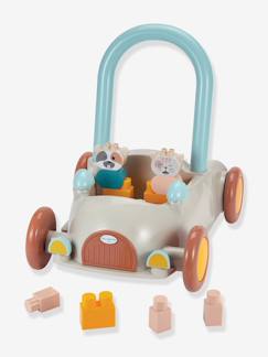 Jouet-Premier âge-Bascules, chariots de marche, trotteurs et porteurs-Chariot de marche