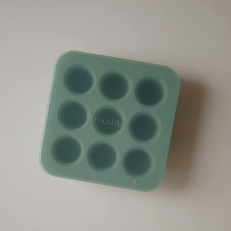 Mini moule à congeler cambridge blue Bleu 3 - vertbaudet enfant 