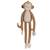 Peluche géante singe safari friends (80 cm) Marron 3 - vertbaudet enfant 