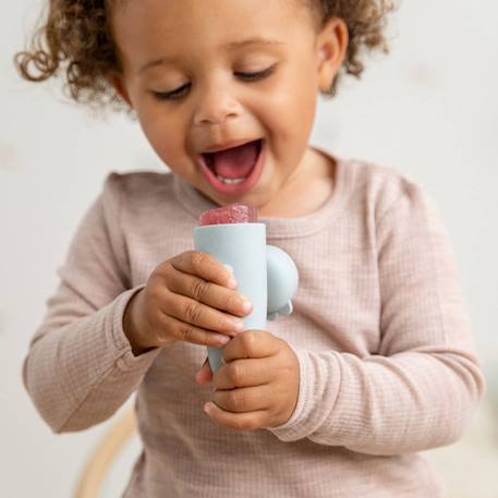 Lot de 3 moules à glace silicone dotti bleu Bleu+Rose 3 - vertbaudet enfant 