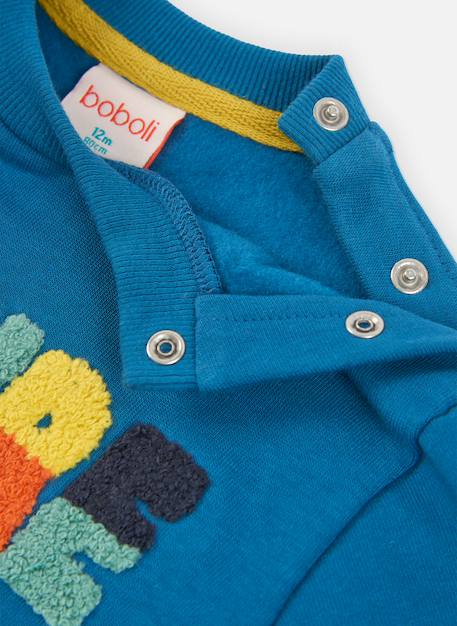 Sweat-shirt garçon molleton imprimé nature Bleu 4 - vertbaudet enfant 