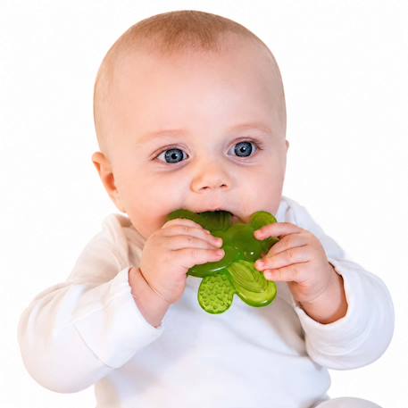 Lot de 2 anneaux de dentition réfrigérants papillon Vert 4 - vertbaudet enfant 