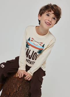 Garçon-T-shirt, polo, sous-pull-T-shirt garçon maille imprimé aventure