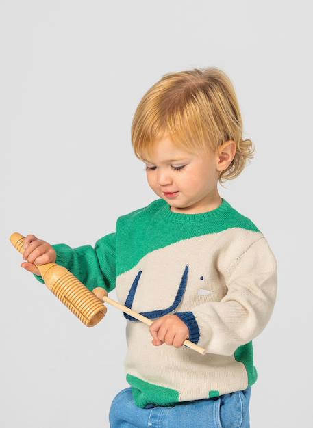Pull bébé garçon imprimé éléphant Vert 1 - vertbaudet enfant 