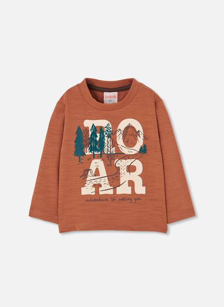 T-shirt garçon imprimé aventure Marron 2 - vertbaudet enfant 