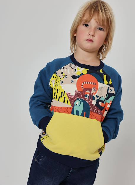 Garçon-Sweat-shirt garçon molleton imprimé animaux