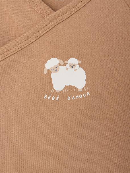 Lot de 2 bodies naissance manches longues cappuccino+rose pâle+vert sauge 5 - vertbaudet enfant 