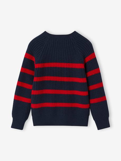 Pull garçon rayé bleu moyen+bordeaux+écru+encre+vert sauge 5 - vertbaudet enfant 