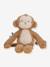 Peluche singe Safari Friends marron 1 - vertbaudet enfant 
