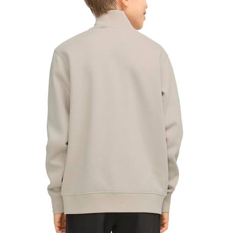 Sweat garçon bradley en coton Beige 3 - vertbaudet enfant 