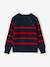 Pull garçon rayé bleu moyen+bordeaux+écru+encre+vert sauge 4 - vertbaudet enfant 