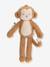 Peluche singe Safari Friends marron 2 - vertbaudet enfant 