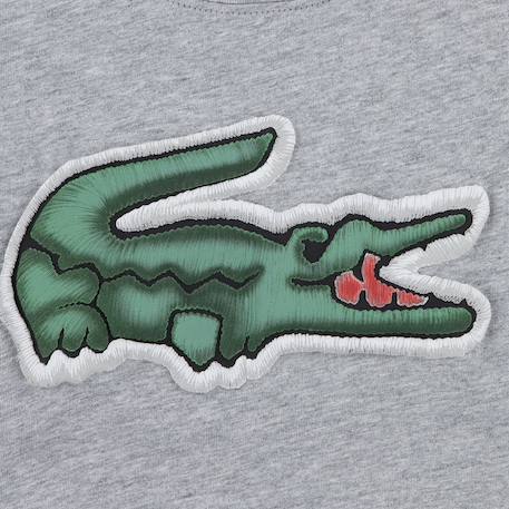 Tee-shirt enfant en coton Gris chiné, vert+Marine, vert+Noir, vert 3 - vertbaudet enfant 