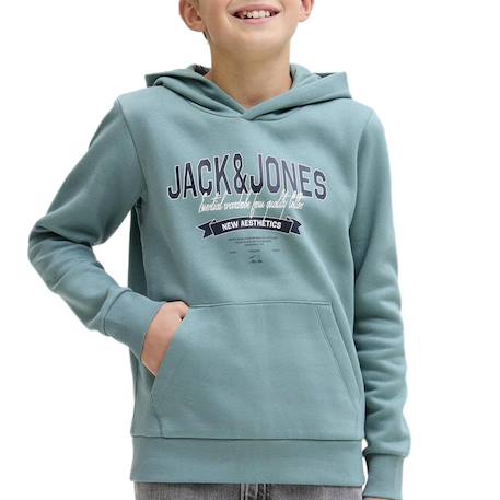 Garçon-Pull, gilet, sweat-Sweat garçon logo
