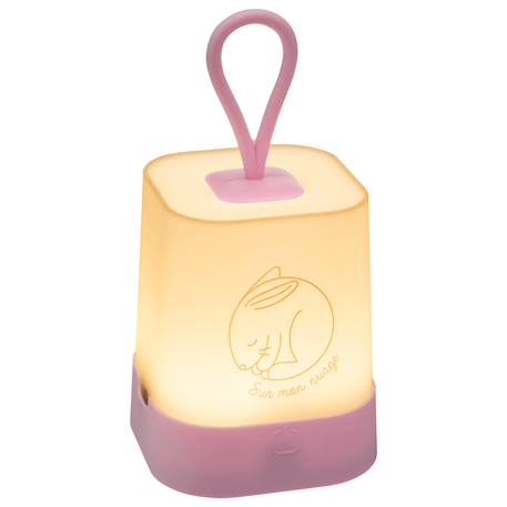 Veilleuse sur batterie h.16cm silicone avec poignée Bleu+Gris+Rose 2 - vertbaudet enfant 