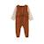 Pyjama bébé en velours moka Marron 3 - vertbaudet enfant 