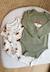 Lot de 2 bodies bébé manches longues ginkgo Vert 1 - vertbaudet enfant 