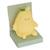 Veilleuse poire enfant fraci jaune 9,9x9,5x8,8 cm Orange 3 - vertbaudet enfant 