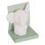 Veilleuse elephant enfant softy blanc 14.5x13x10,5 cm Blanc 3 - vertbaudet enfant 