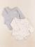 Lot de 2 bodies en coton - 9 mois Beige, gris 1 - vertbaudet enfant 
