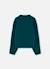 Pull fille avec étoile Vert 3 - vertbaudet enfant 