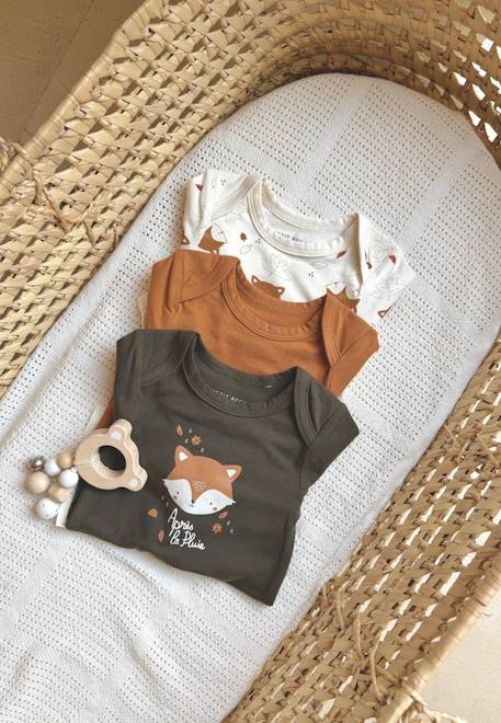 Lot de 3 bodies bébé manches longues ginkgo Vert 1 - vertbaudet enfant 