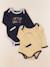 Lot de 2 bodies en coton - 6 mois Bleu, jaune 1 - vertbaudet enfant 