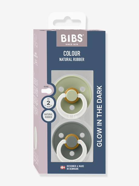 Lot de 2 sucettes-tétines Colour ou Colour Night, taille 2 de 6 à 18 mois beige+Blush & Vanilla+Blush Night / Vanilla Night+Iron & baby blue+Sage & hunter green+vert+Vert sauge night / Gris nuage+Woodchuck & blush 9 - vertbaudet enfant 