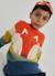 Pull garçon imprimé renard rayé Orange 1 - vertbaudet enfant 