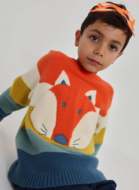 Garçon-Pull garçon imprimé renard rayé