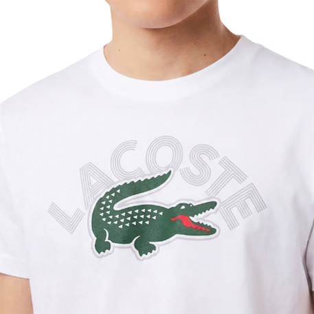 Tee-shirt enfant en coton Blanc, vert+Marine, blanc, vert+Vert, blanc 4 - vertbaudet enfant 
