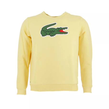 Garçon-Pull, gilet, sweat-Sweatshirt enfant en coton