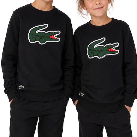 Sweatshirt enfant en coton Gris chiné+Noir foncé 9 - vertbaudet enfant 